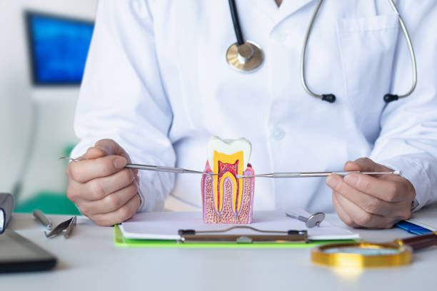 Best Broken or Chipped Tooth Repair in Thermal, CA